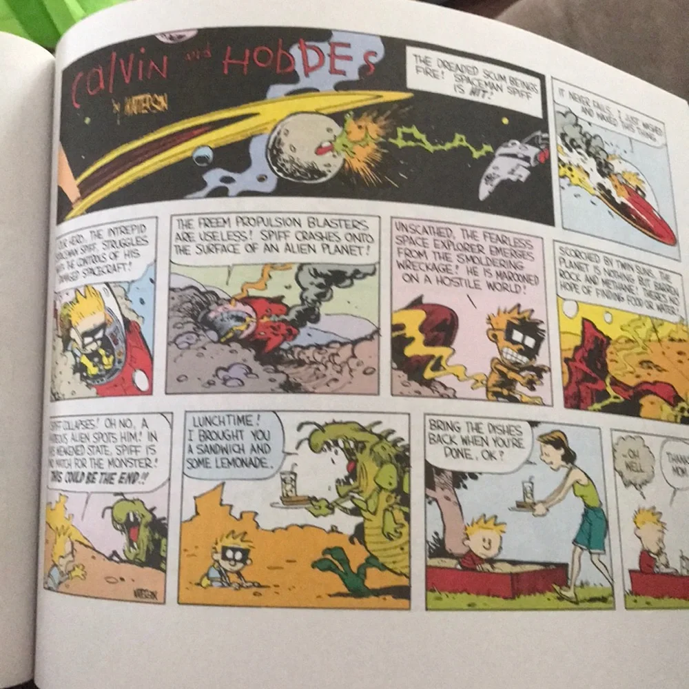 GREAT UC VINTAGE The Calvin and Hobbes , Tenth Anniversary Book